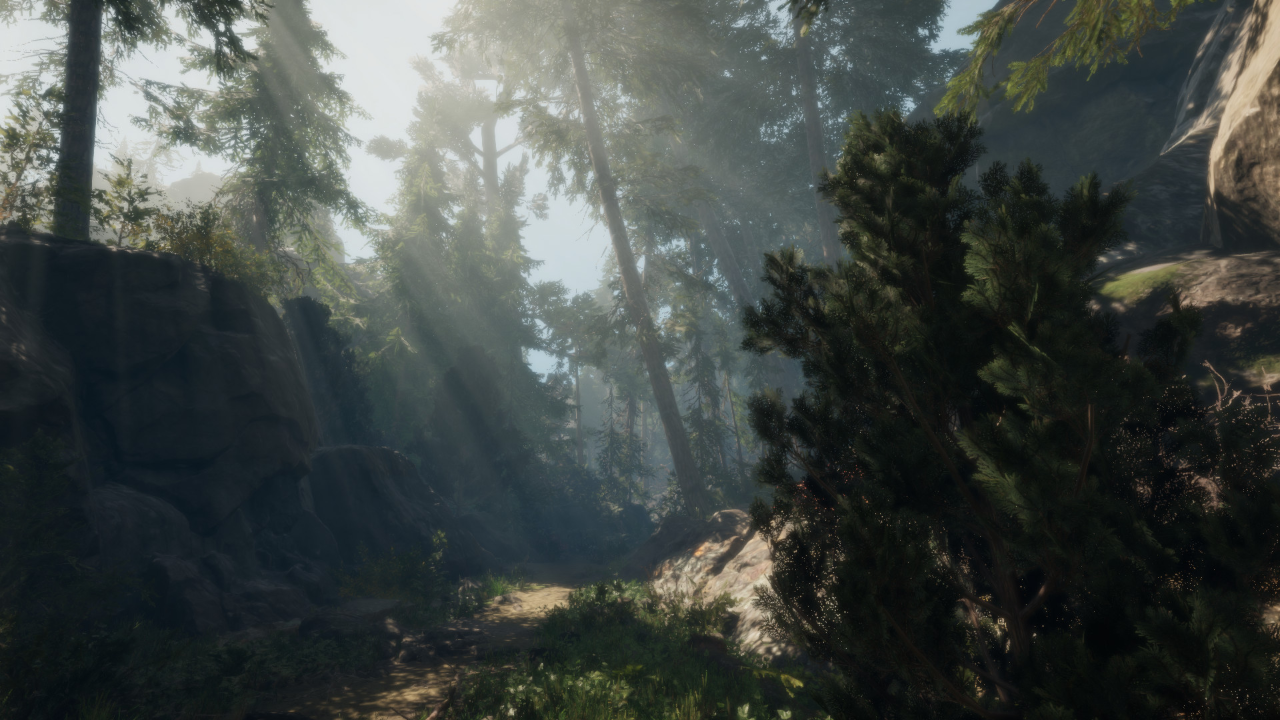 A Walk in the Woods screenshot 1